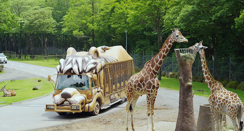 富士サファリパーク